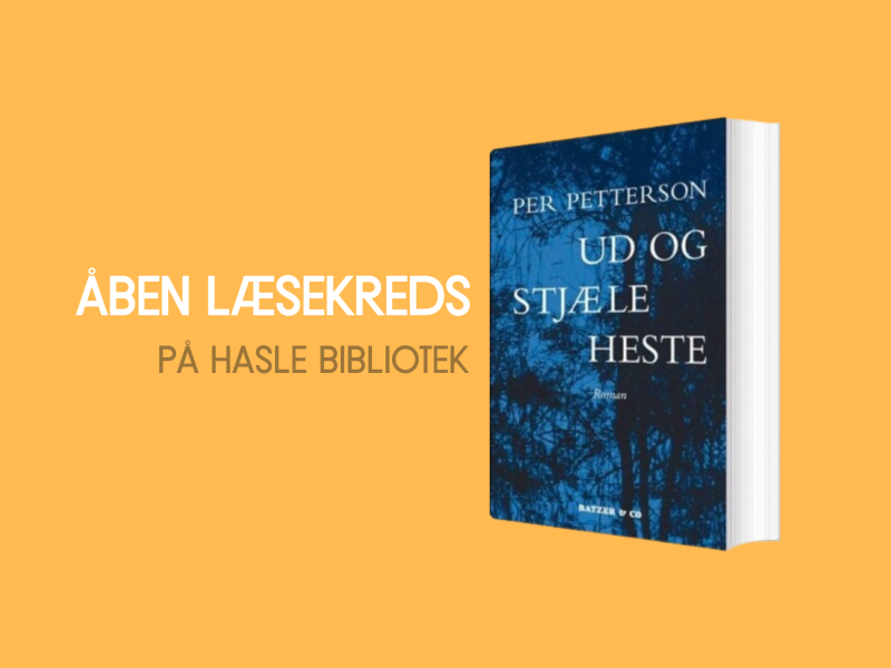 forsiden af Ud og stjæle heste